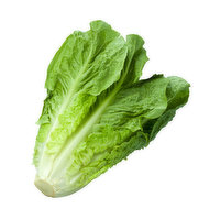 Romaine Lettuce, 1 Each